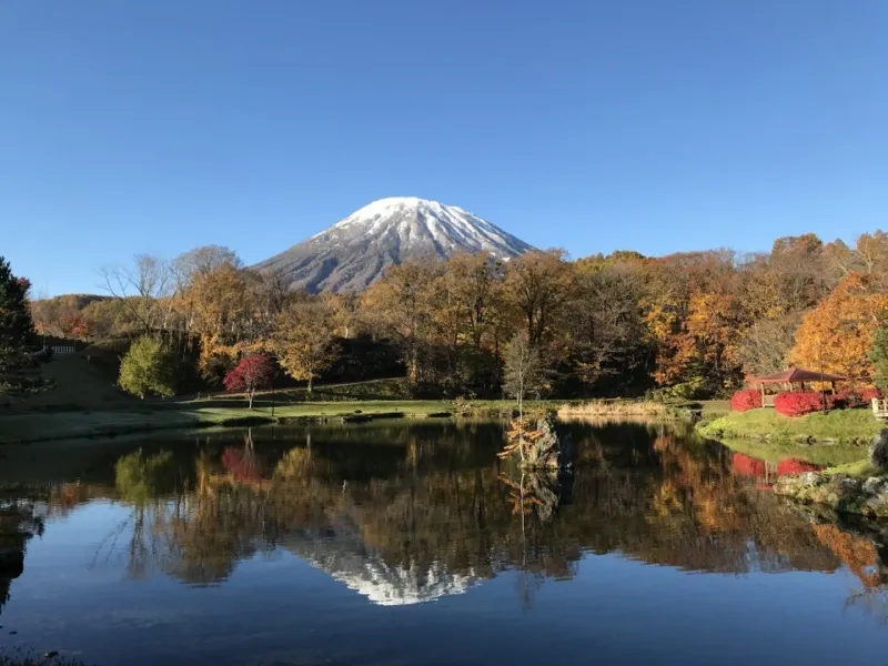 秋の北海道ニセコで心と身体を解放するウェルネスリトリート